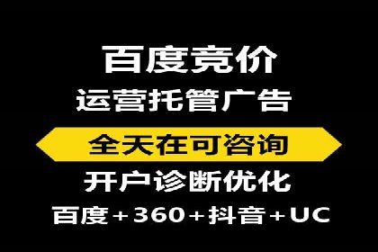 百度平台推广：成功案例解析与效果分析